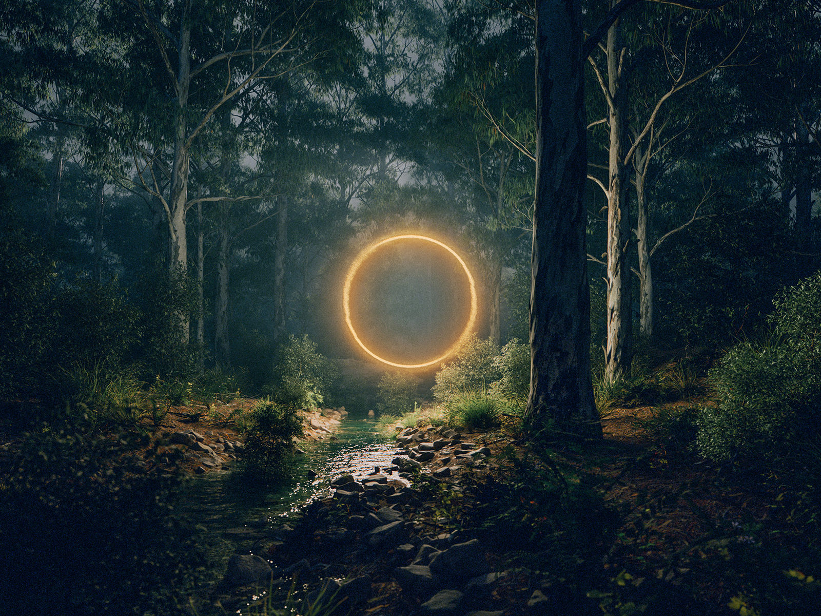 Baroque Unleashed: What to expect - 2