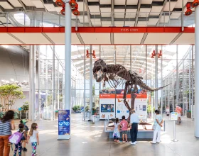 California Academy of Sciences With Steinhart Aquarium Admission : What to expect - 3
