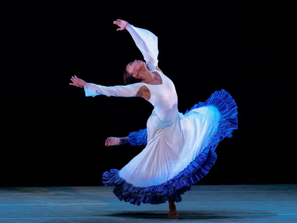 Alvin Ailey American Dance Theater: What to expect - 1