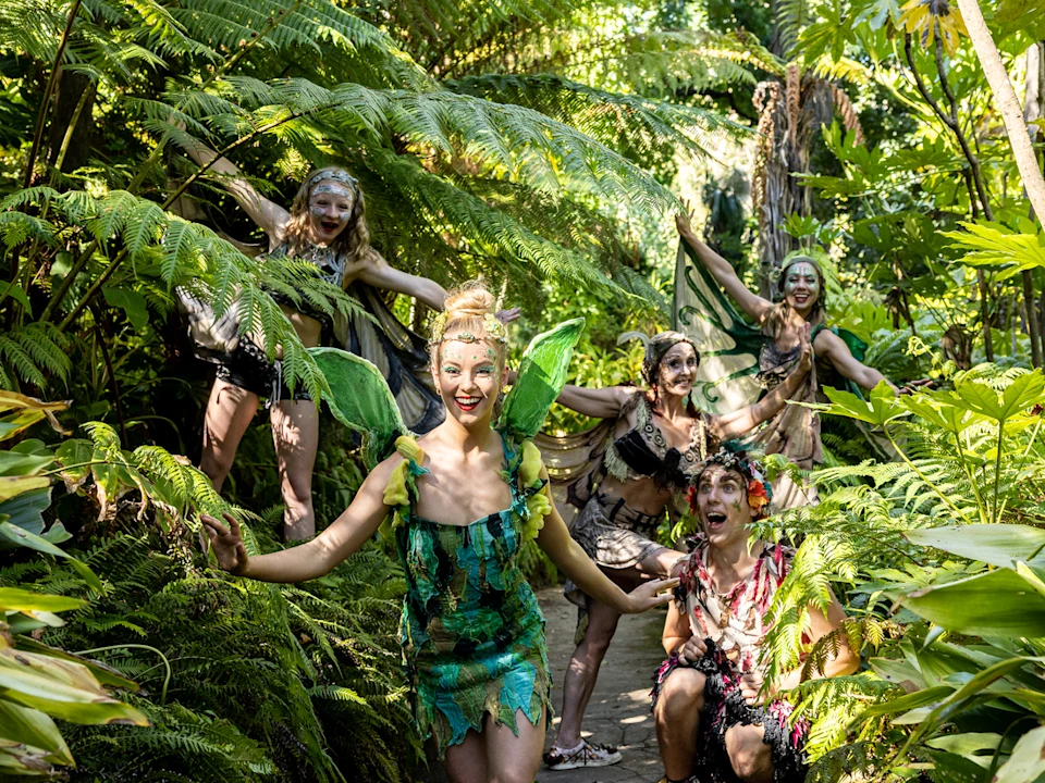 Tinkerbell and the Dream Fairies: What to expect - 1