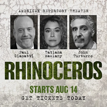 Rhinoceros