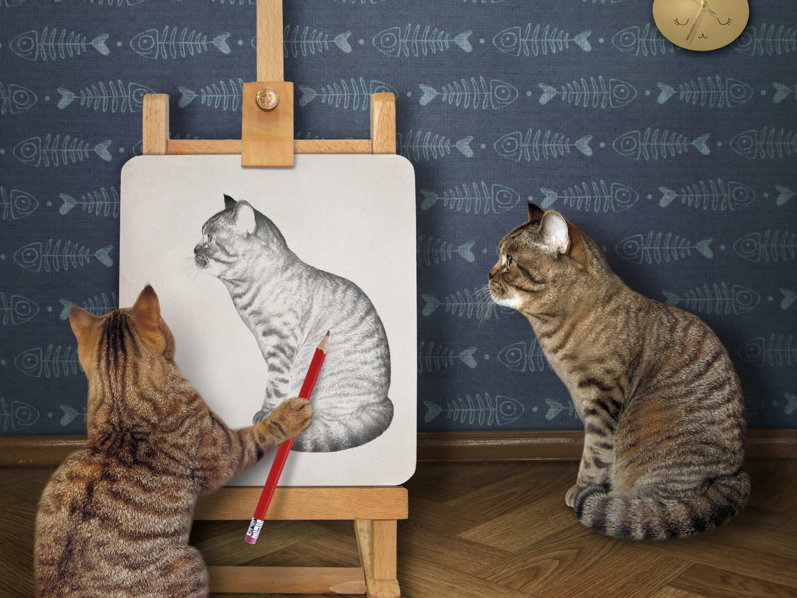 Sketch-tacular: What to expect - 5