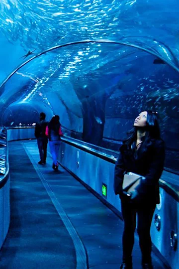 Aquarium of the Bay tickets
