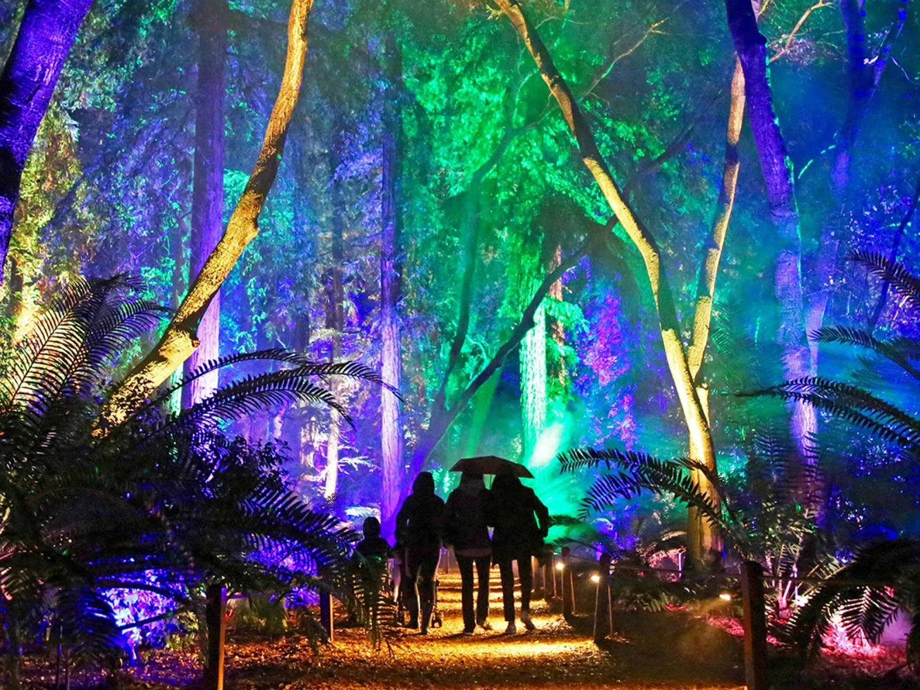 Descanso Gardens — Enchanted Forest of Light: What to expect - 1