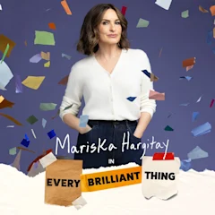 Every Brilliant Thing on Broadway