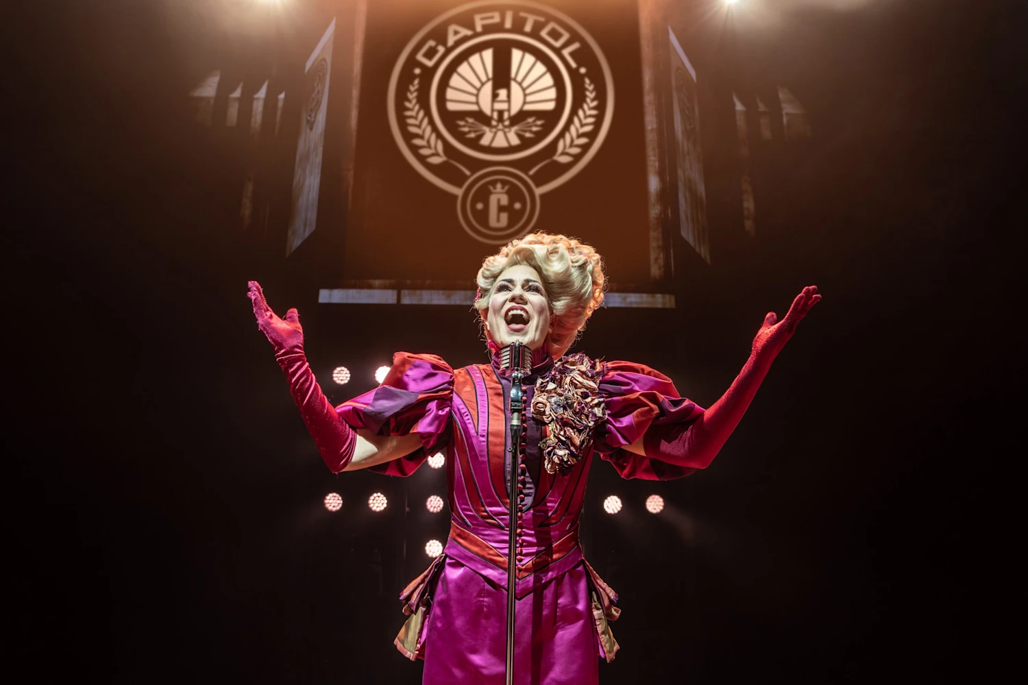 The Hunger Games: On Stage: What to expect - 6