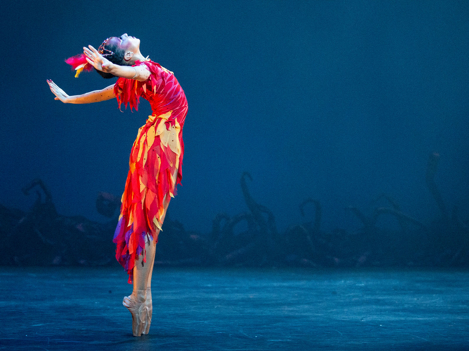 Reframing the Narrative: Dance Theatre of Harlem, Ballethnic Dance Company, and Collage Dance Collective: What to expect - 2