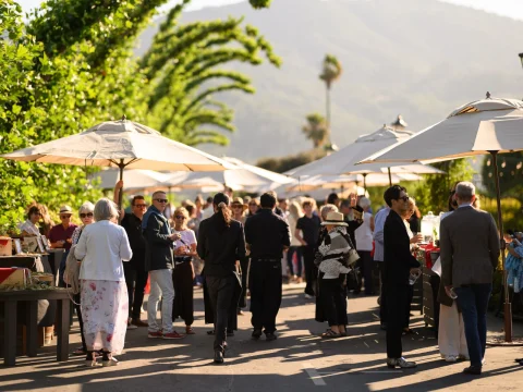 A crowd of people socialize under large patio umbrellas on a sunny day, with mountains and trees in the background. Tables with food and drinks are set up along the pathway.