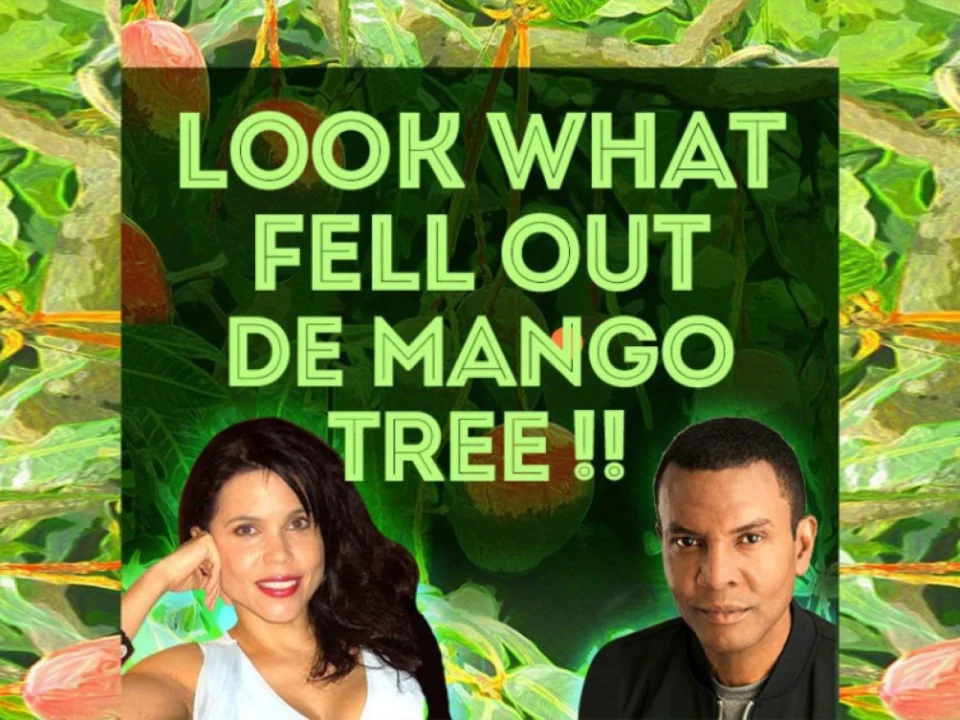 Debra Ehrhardt's Look What Fell Out De Mango Tree: What to expect - 1