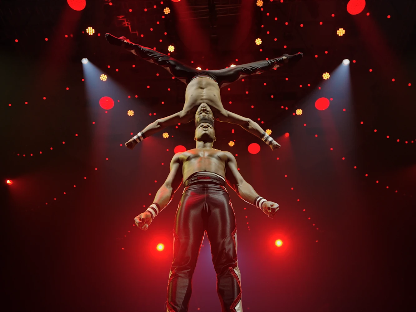 Cirque Alice: What to expect - 2