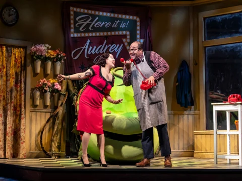Production shot of Little Shop of Horrors in Washington, DC.