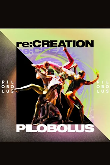 PILOBOLUS re:CREATION Tickets