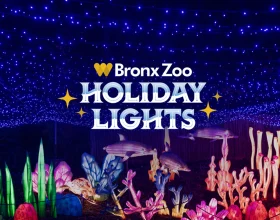 Bronx Zoo Holiday Lights: What to expect - 1