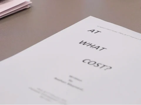 At What Cost?: What to expect - 2