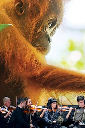 Our Planet Live in Concert tickets