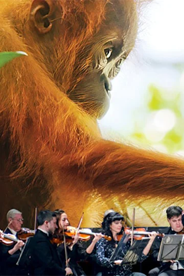 Our Planet Live in Concert tickets