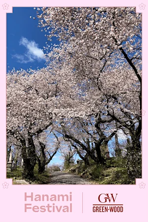 Hanami Festival tickets