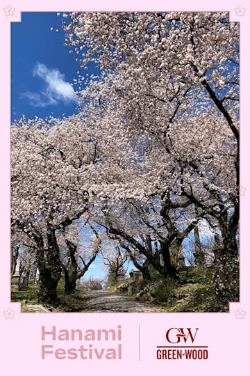 Hanami Festival tickets