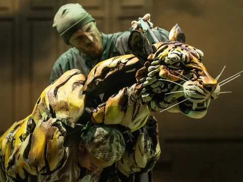 Two performers manipulate a large, detailed tiger puppet with lifelike features on a stage. One performer controls the tiger's head, while the other handles its front limbs.