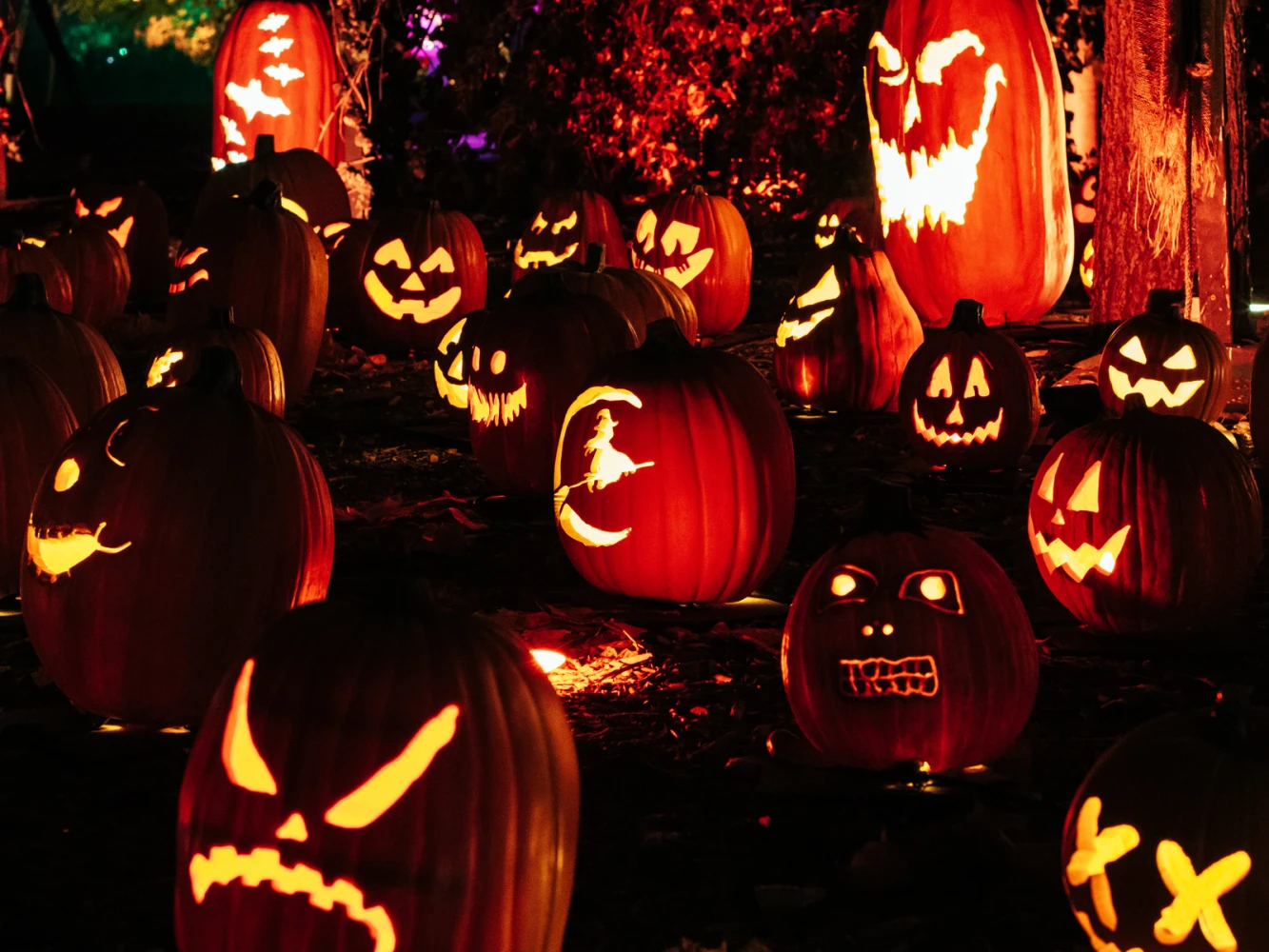 Magic of the Jack O’Lanterns: What to expect - 6