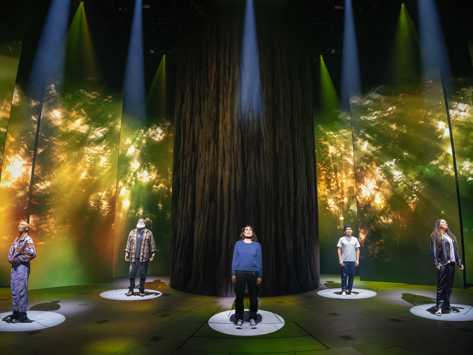 Redwood: What to expect - 5