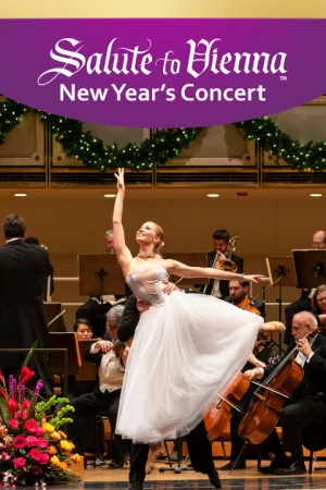 Salute to Vienna Tickets