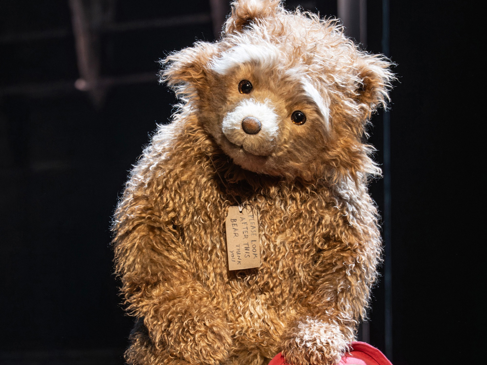 Paddington The Musical: What to expect - 3
