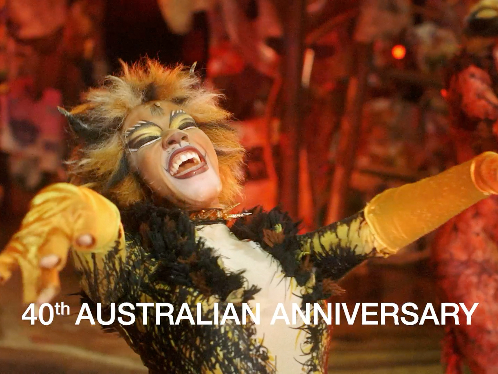 CATS: What to expect - 1