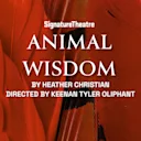 Animal Wisdom