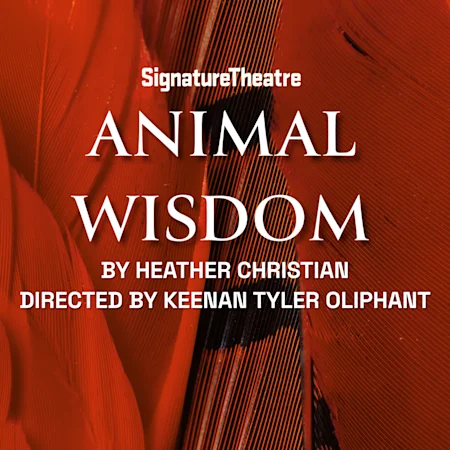 Animal Wisdom