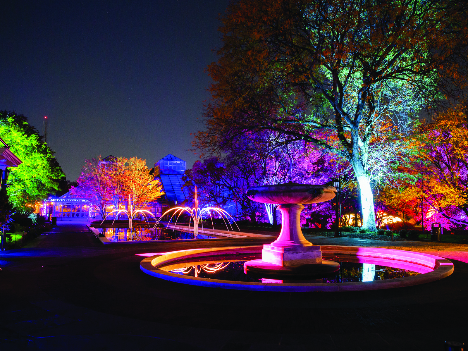 Lightscape Brooklyn: What to expect - 4