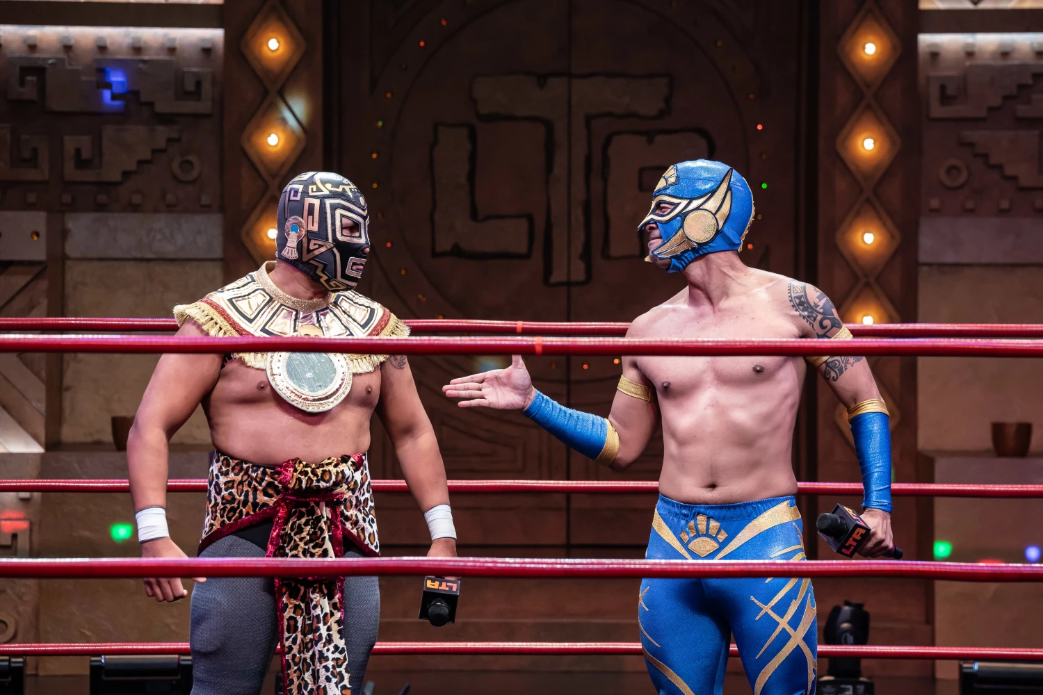 LUCHA TEOTL: What to expect - 6