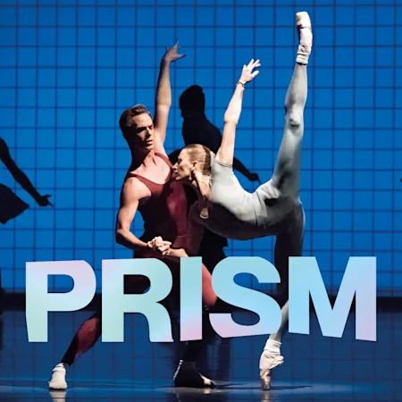 Prism