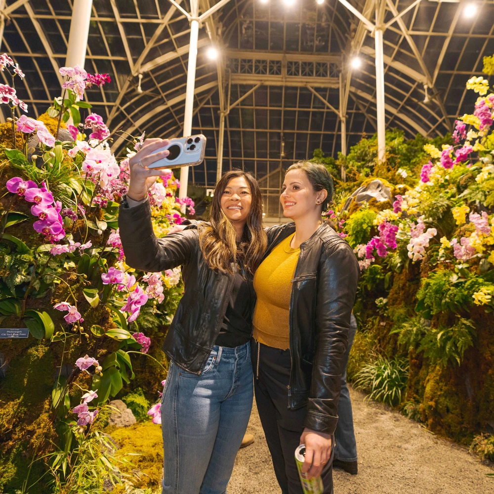 The Orchid Show at New York Botanical Garden: What to expect - 9