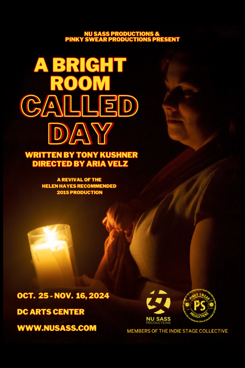 A Bright Room Called Day show poster