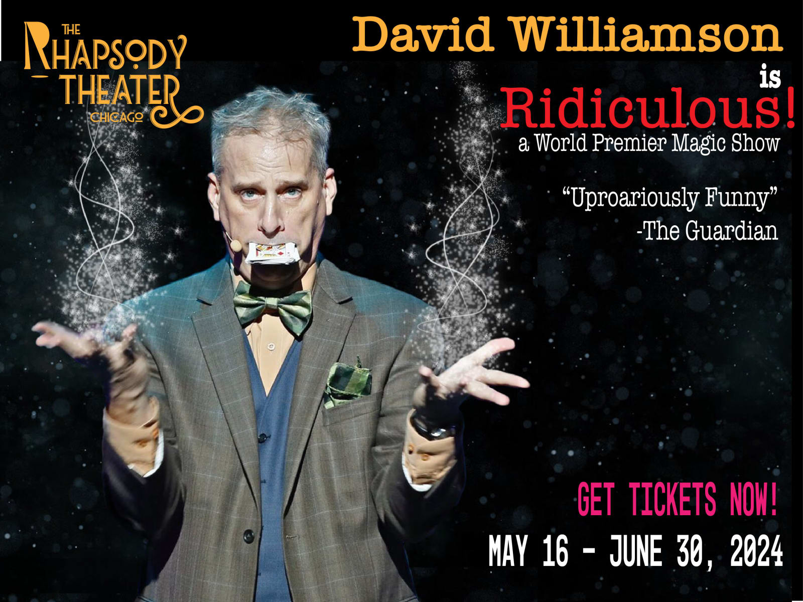 David Williamson in Ridiculous! Tickets | Chicago | TodayTix