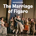 The Marriage of Figaro - Royal Ballet and Opera