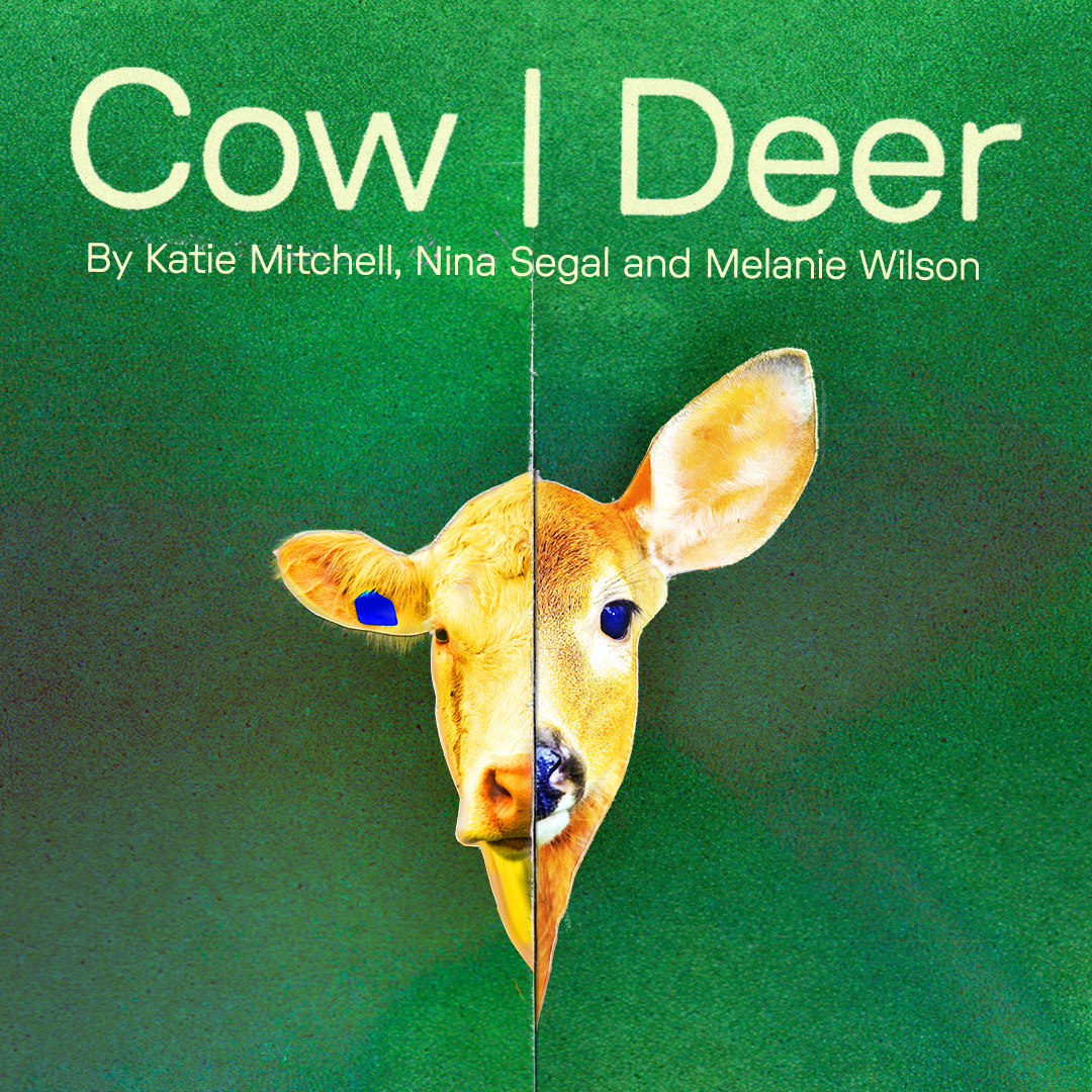 Cow | Deer