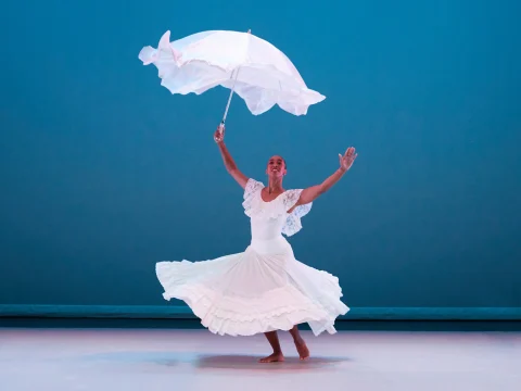 Alvin Ailey American Dance Theater : What to expect - 3