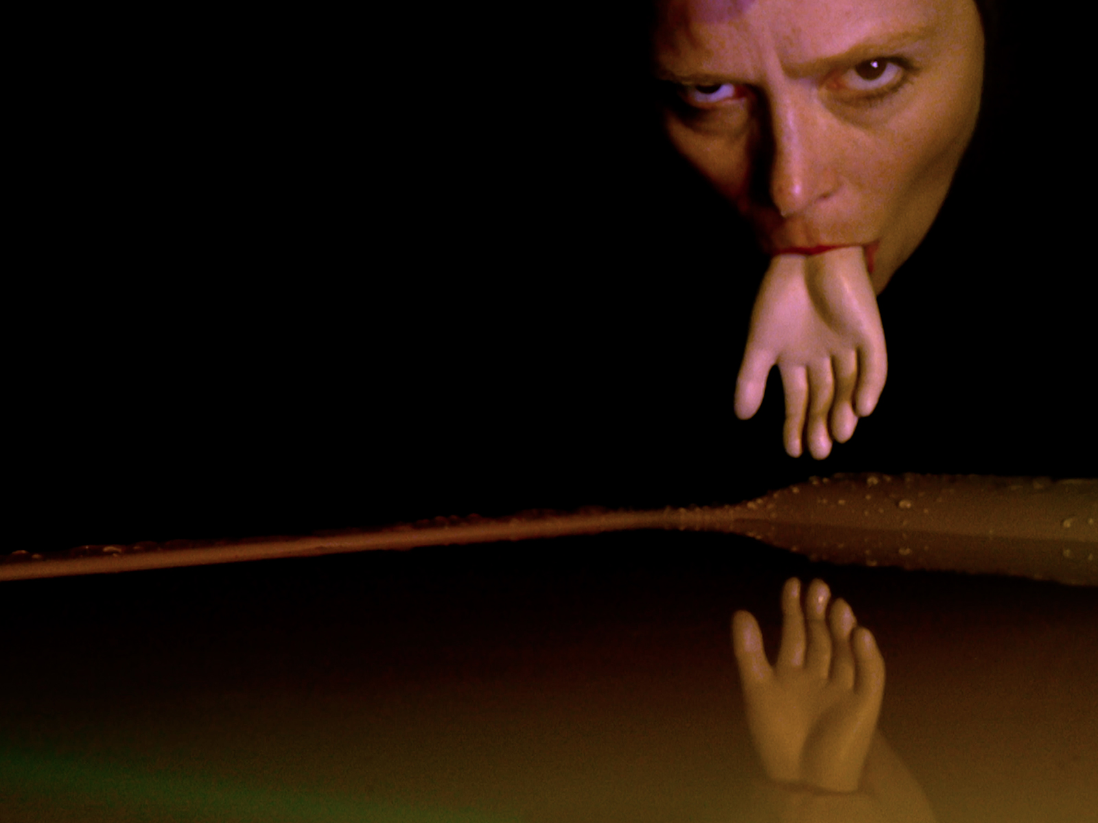 Epidermis Circus: The Weirdest Puppet Show You've Ever Seen: What to expect - 1