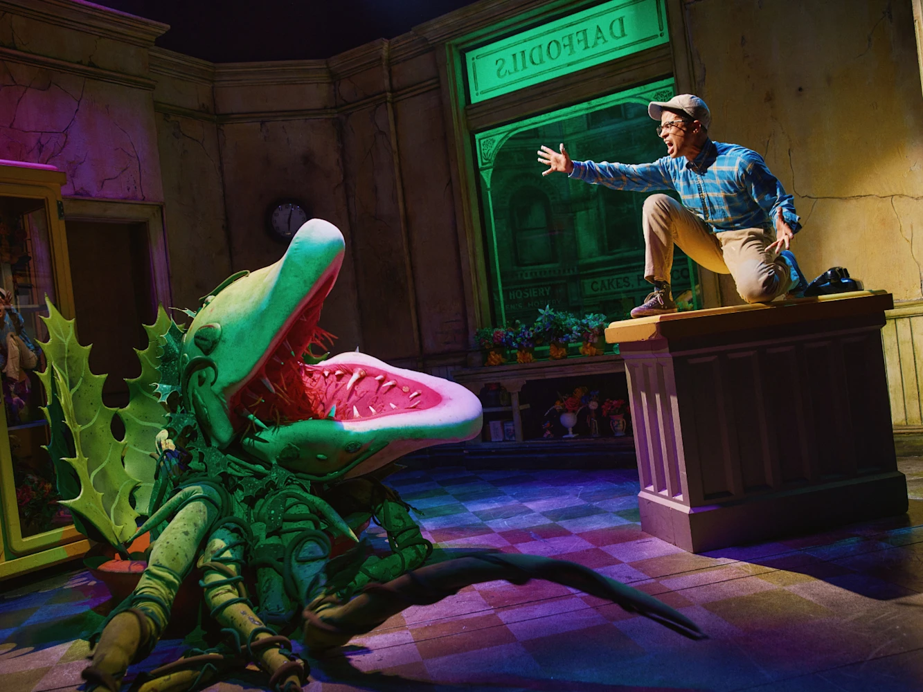 Little Shop of Horrors: What to expect - 9