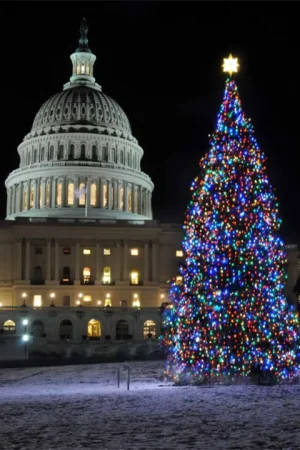 DC Holiday Lights Tour tickets