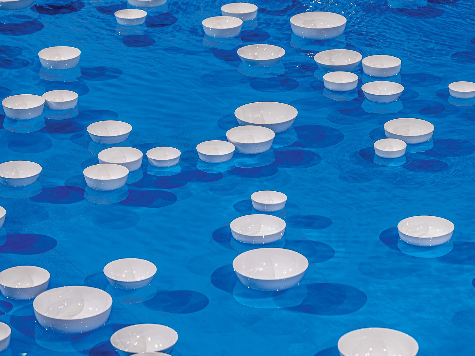 Dozens of white bowls float on bright blue water, casting oval-shaped shadows on the surface.