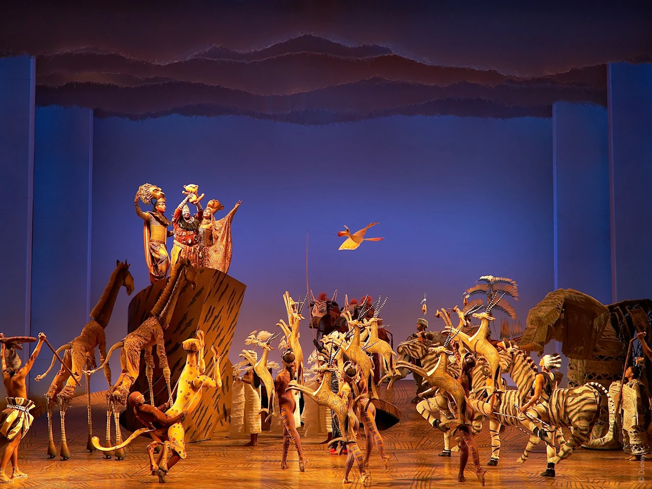 The Lion King: What to expect - 2