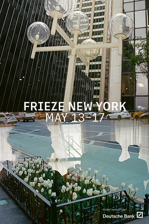 Product image for Frieze New York