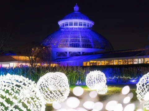 NYBG GLOW: An Outdoor Color & Light Experience: What to expect - 3