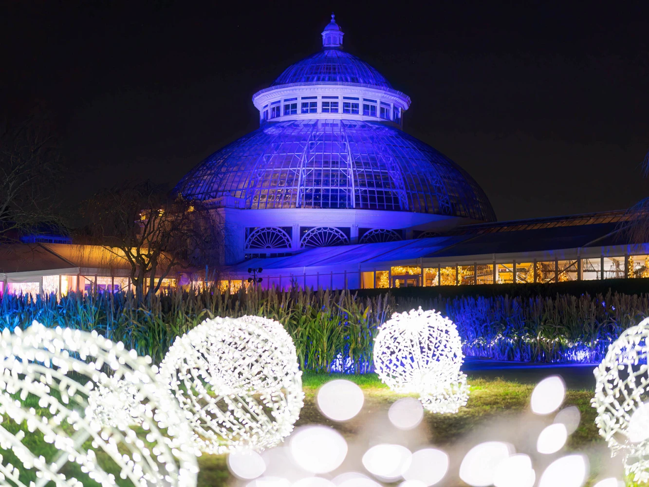NYBG GLOW: An Outdoor Color & Light Experience: What to expect - 2
