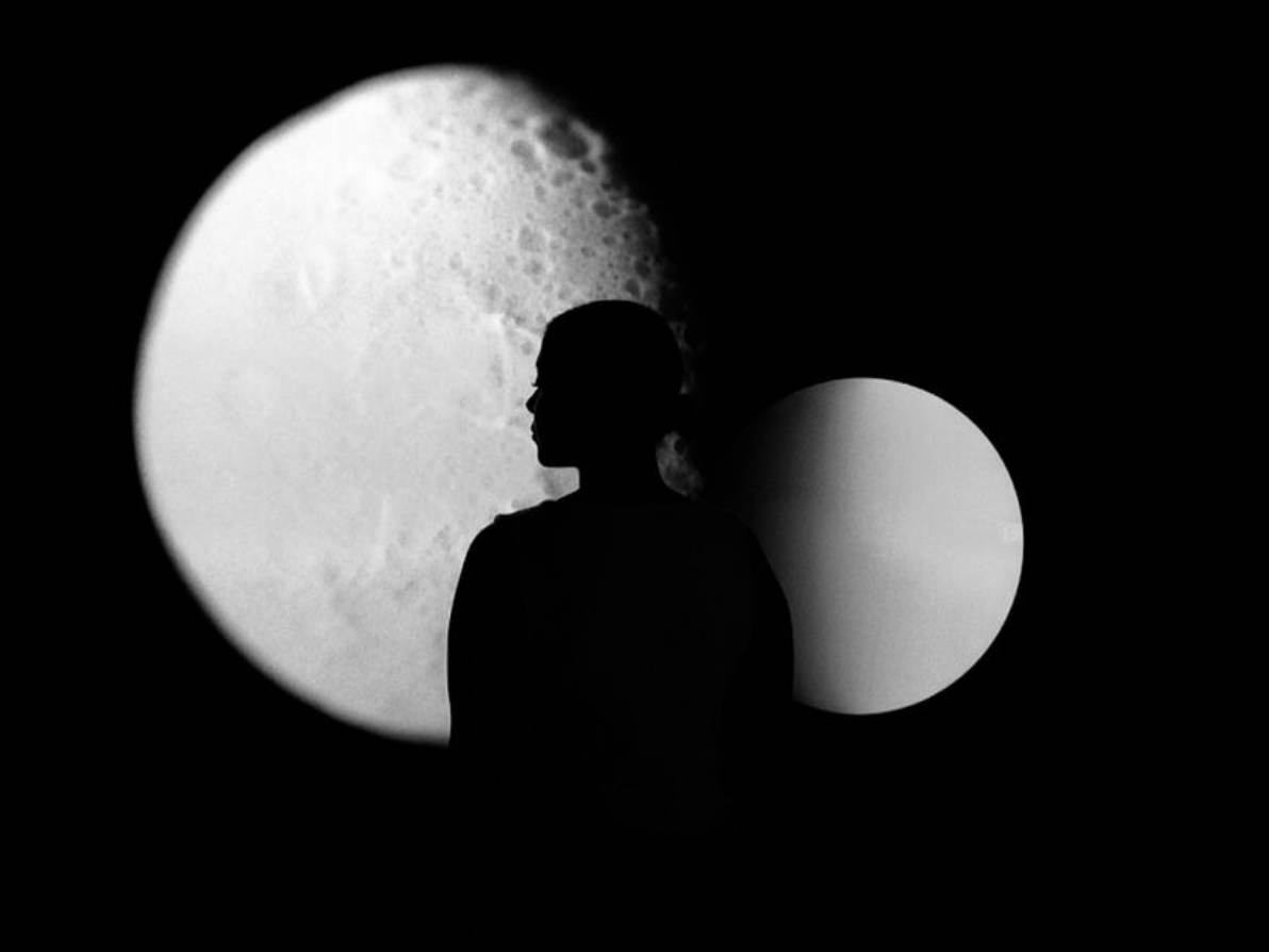 ARTECHOUSE: Beyond the Light: What to expect - 4