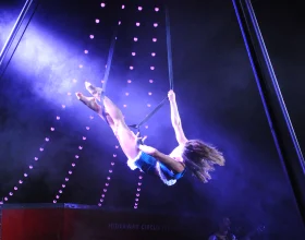 Stars Above: An All American Open Air Circus: What to expect - 3