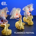 Flamenco Festival
